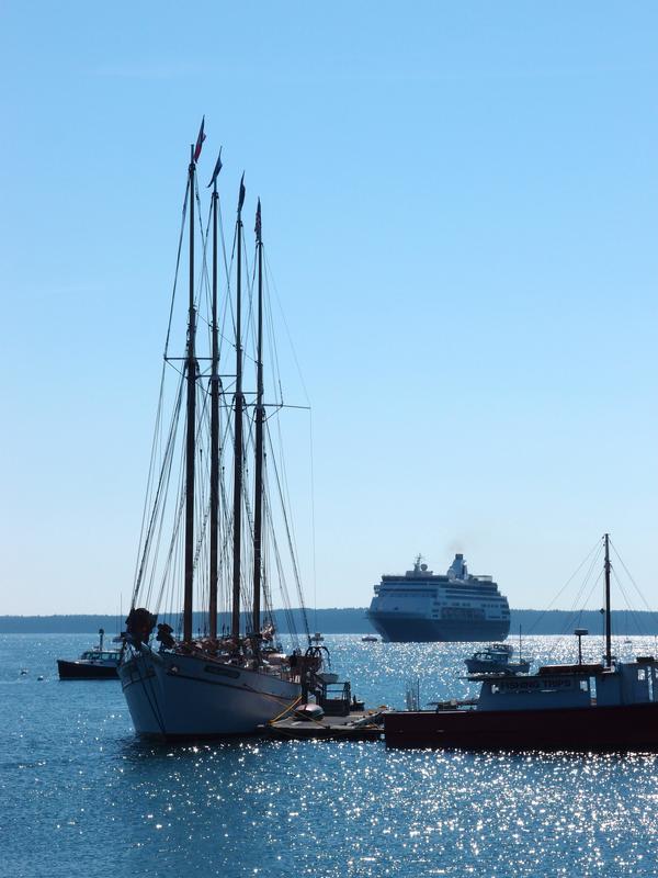 a wide range of boats happily docked at Bar Harbor in Maine