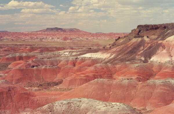 xxx at Arizona in September 2001