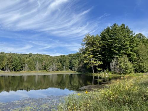 Holcomb Pond in September at Zoar Valley near Buffalo, NY