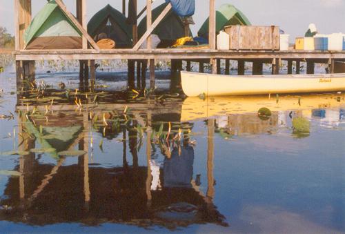 tents on a chickee in Okefenokee Swamp in Georgia in March 1985