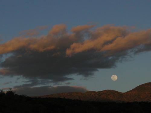 sunset in April on the Verde River in Arizona