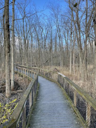 trail in November at Iroquois National Wildlife Refuge in western New York