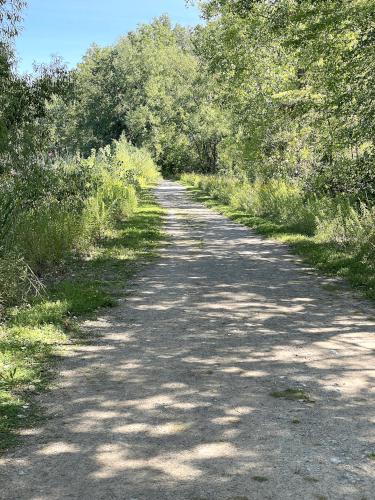 trail in August at DeWitt Conservation Area in western New York