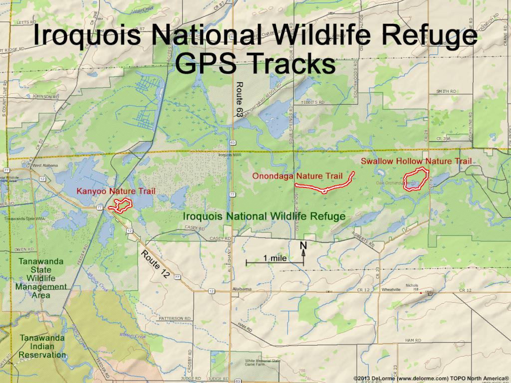 GPS tracks at Iroquois National Wildlife Refuge in western New York