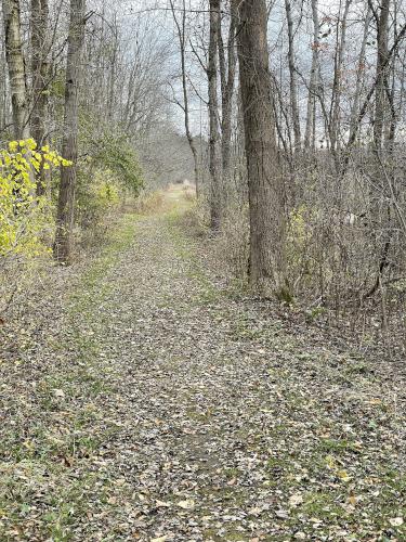 trail in November at Iroquois National Wildlife Refuge in western New York