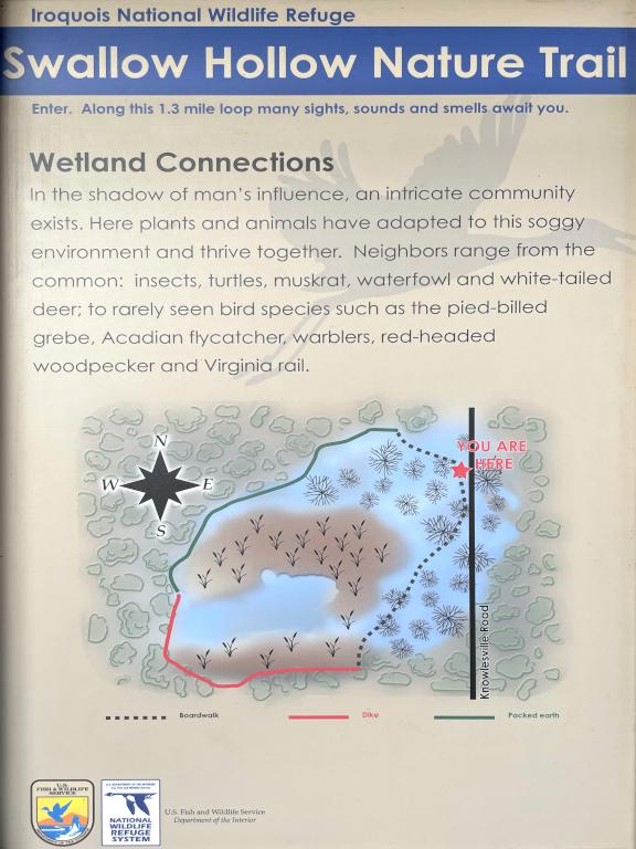 Swallow Hollow Nature Trail map at Iroquois National Wildlife Refuge near Elmira, New York