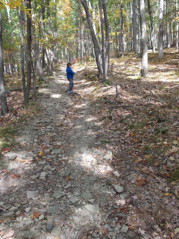 Andee looks for fossils in the shale rocks at Tanglewood Nature Center near Elmira, New York