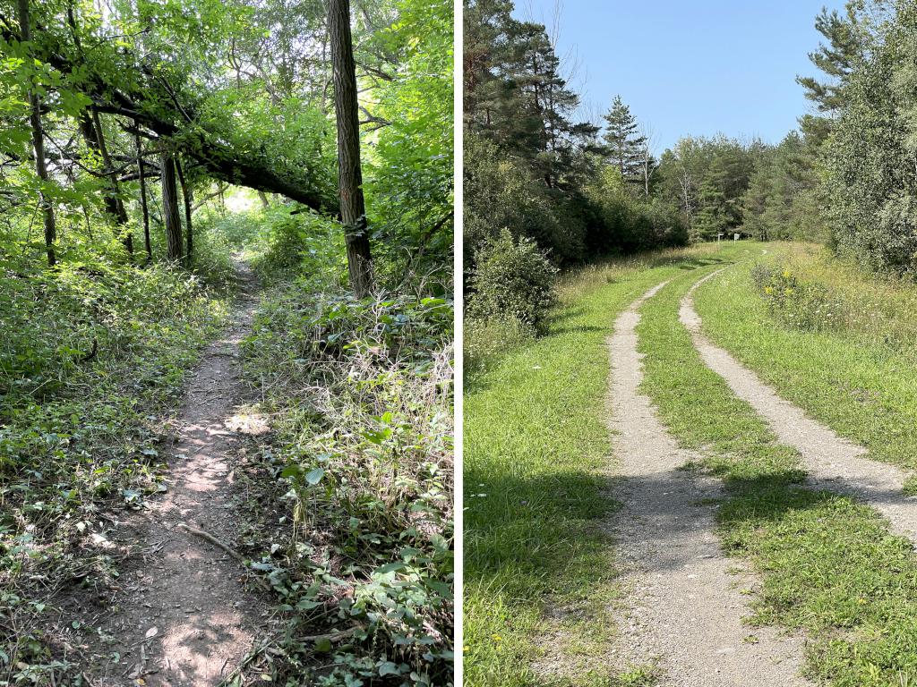 trails in September at Darien Lakes State Park near Batavia in western NY