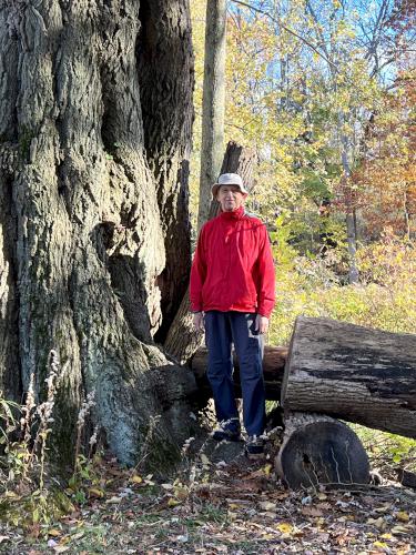 tree in October at Golden Hill State Park near Barker in western NY