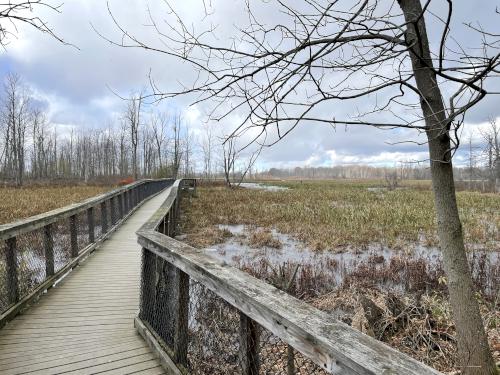 boardwalk in November at Iroquois National Wildlife Refuge in western New York