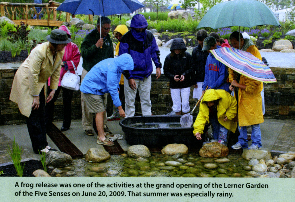 frog release