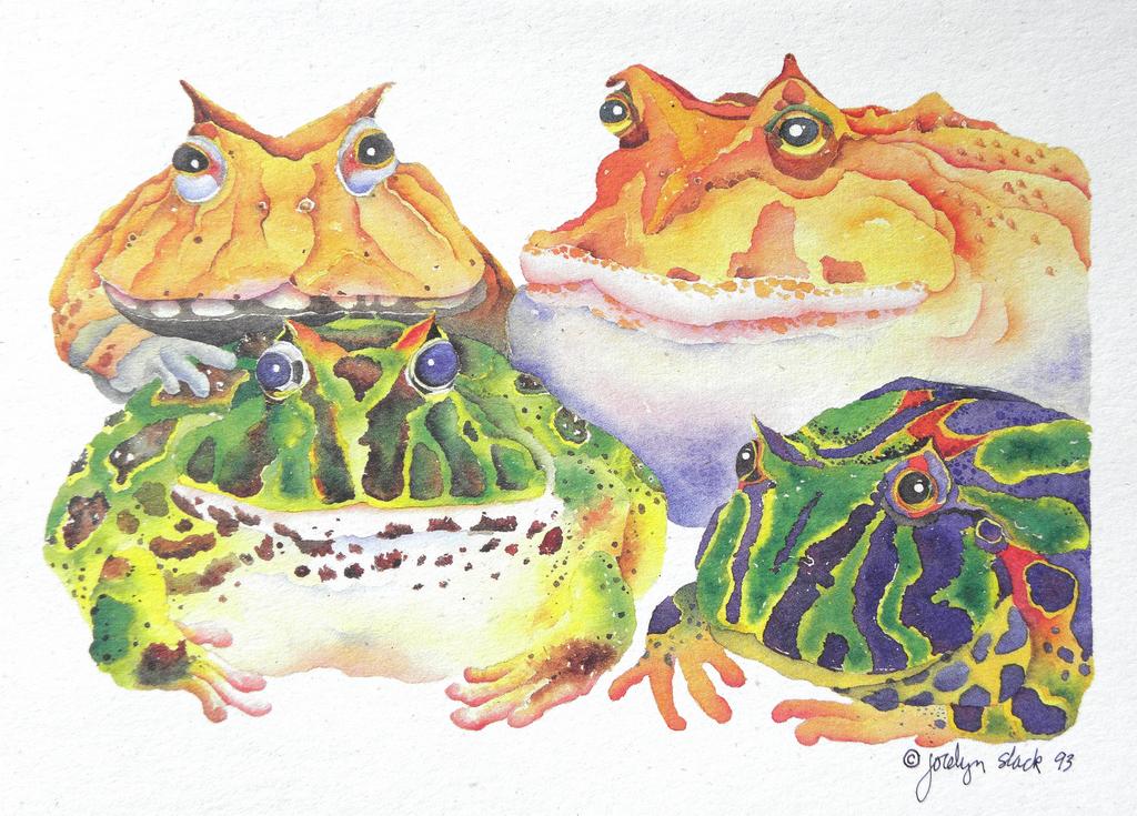 frog notecard