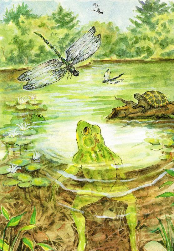 frog greeting card