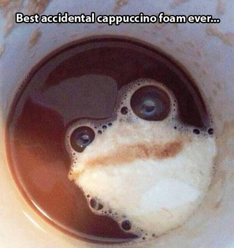 coffee frog