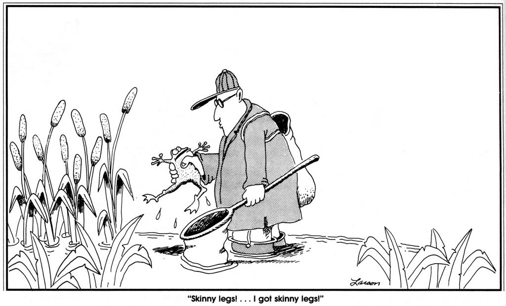 Far Side cartoon