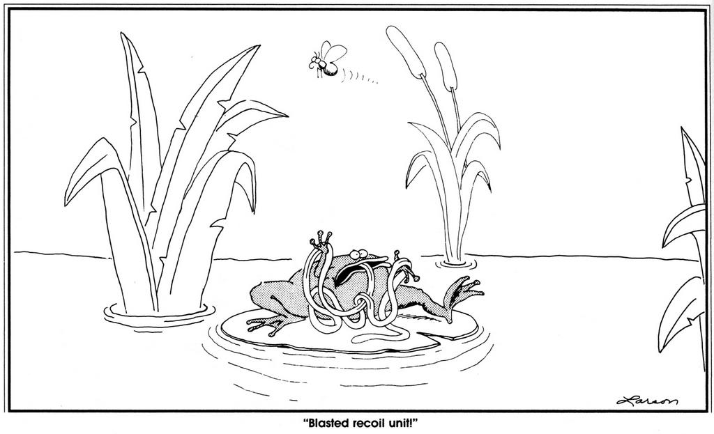 Far Side cartoon