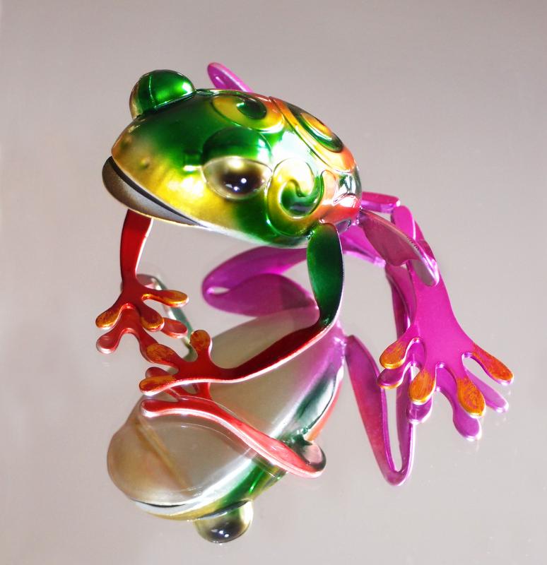 colorful frog