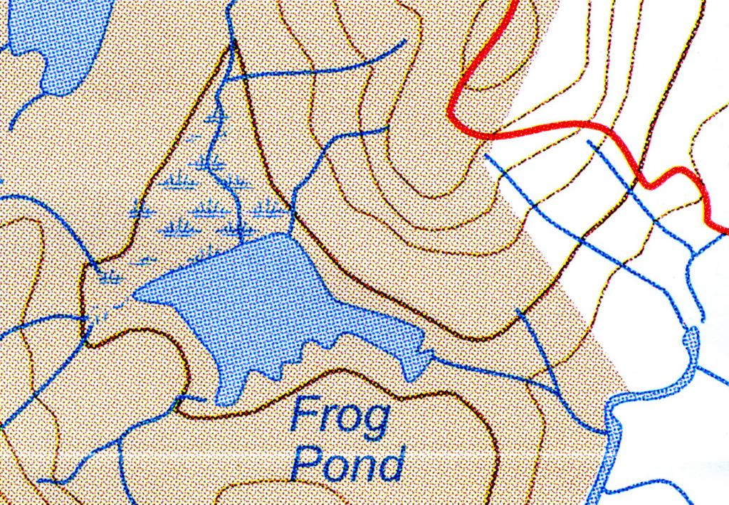 Frog Pond