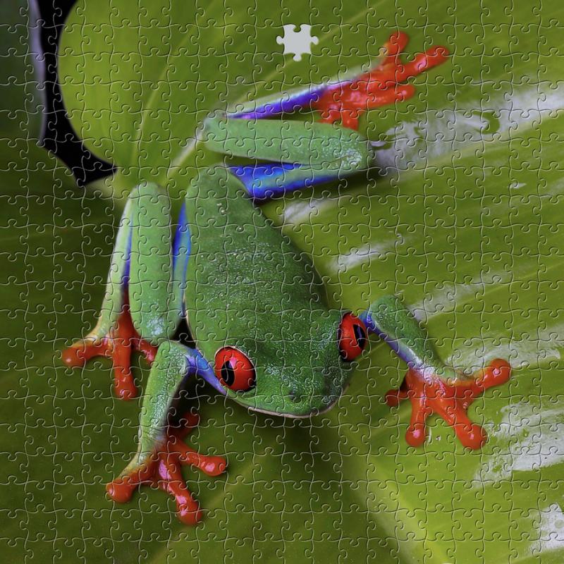 iPhone puzzle