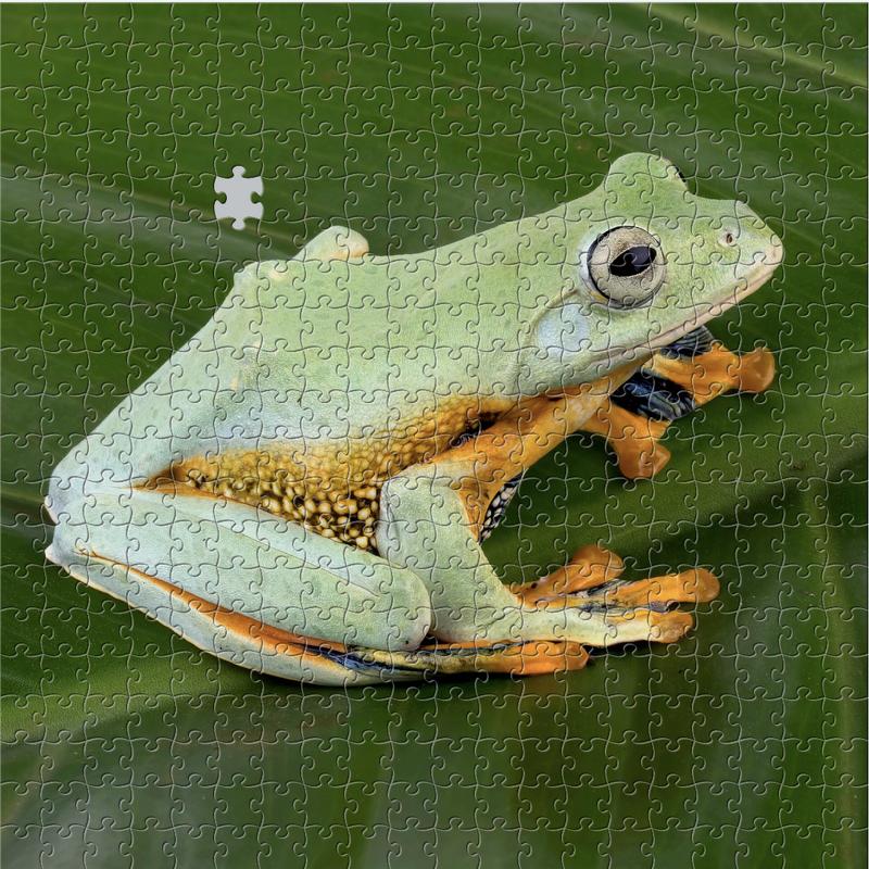 iPhone puzzle