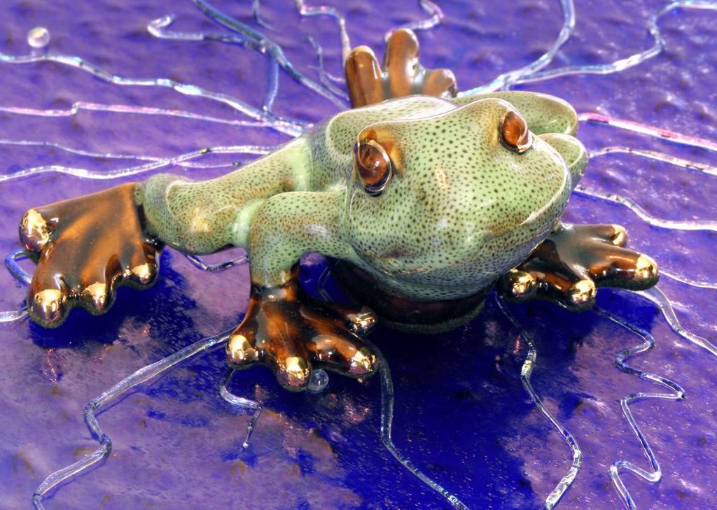 glass frog