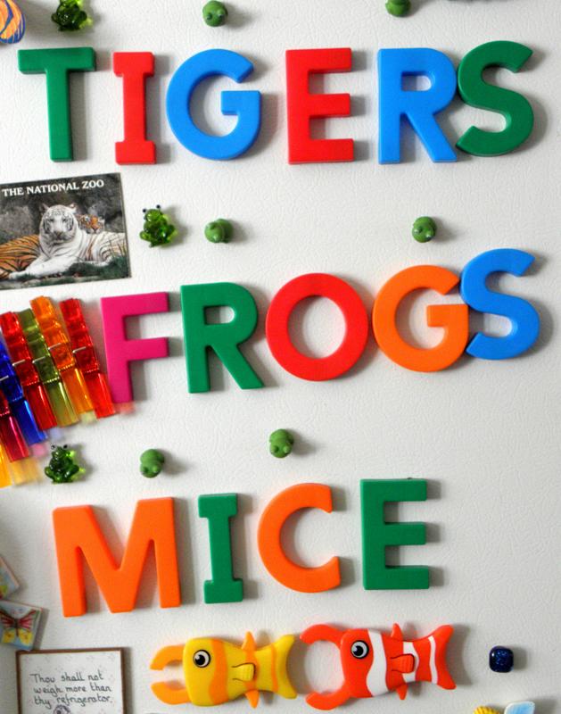 refrigerator magnets