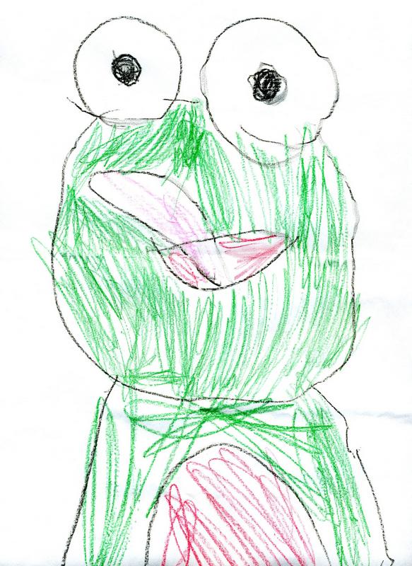 frog drawing