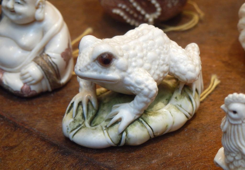 white frog