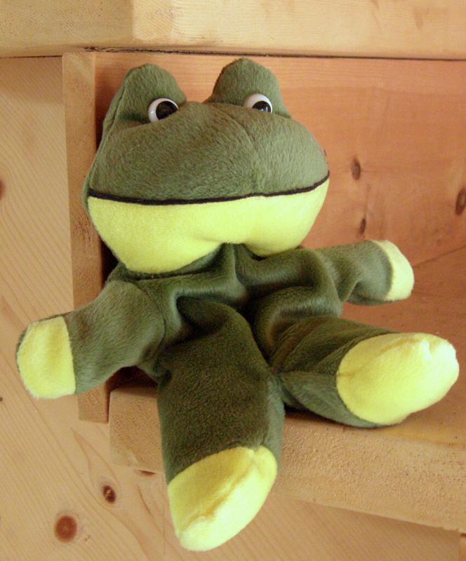 frog stuffed-animal