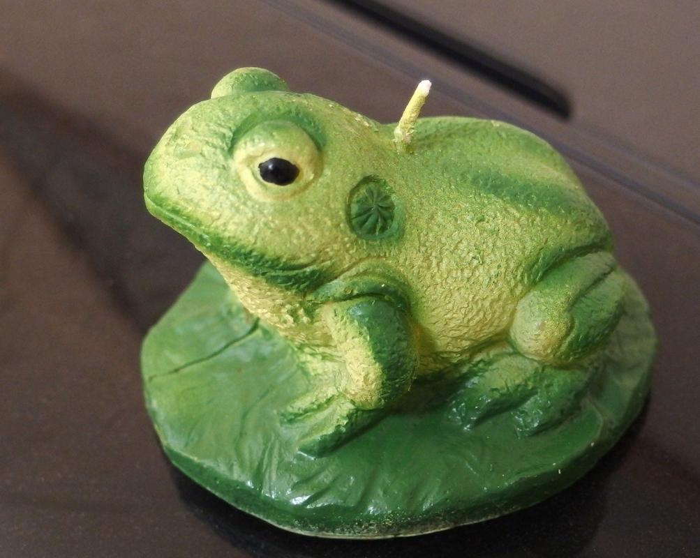 frog candle