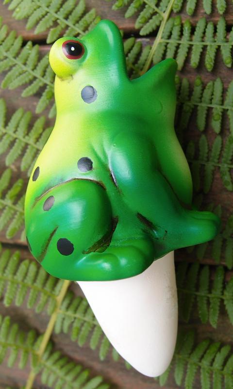 frog moistener