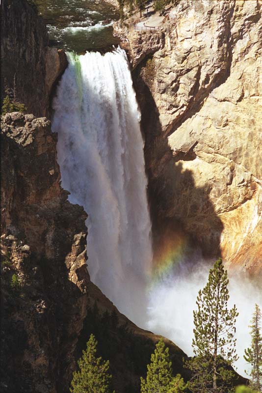 Yellowstone Falls