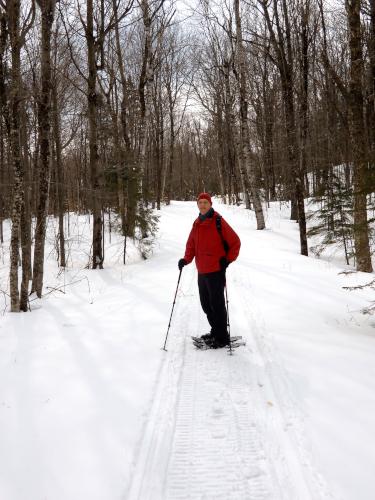 trail in March at Aarons Ledge in southern New Hampshire