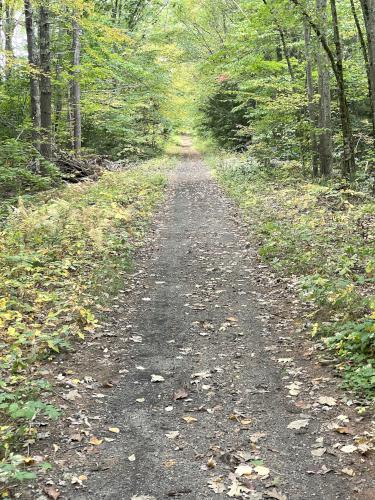 Rocking Recreational Rail Trail in October adjacent to Abe Emerson Marsh near Candia in southern NH