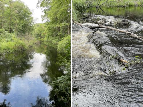 Stony Brook in July at Acker Conservation Land near Westford in northeast MA