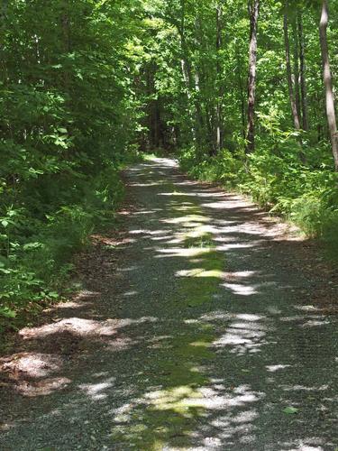 driveway hike up to Mount Agassiz in New Hampshire