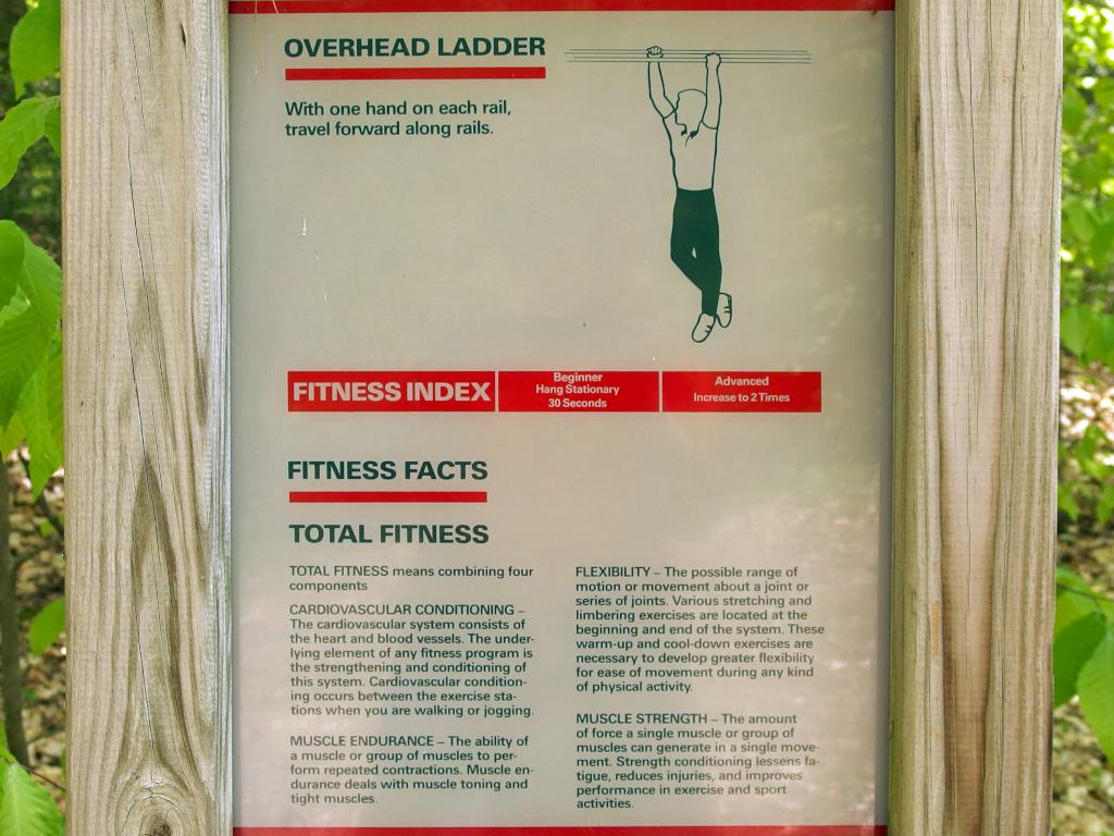 Overhead Ladder exercise station on the Fitness Loop at Ahern State Park in New Hampshire