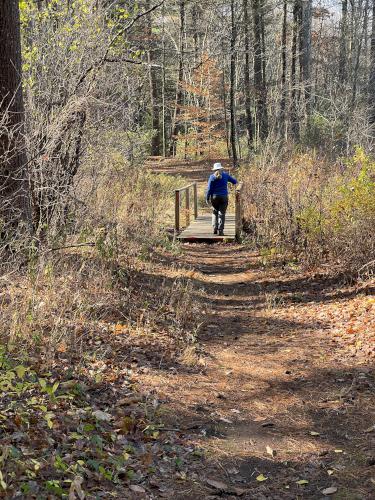 footbridge in October at Albert Doolittle Conservation Area in southern NH