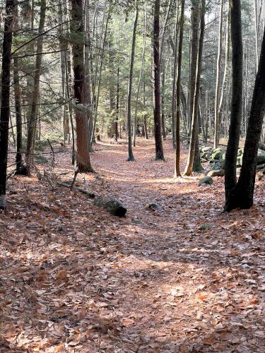 trail in October at Albert Doolittle Conservation Area in southern NH