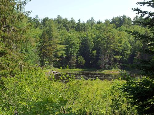 Fletcher Pond at Ames Hill in southern New Hampshire