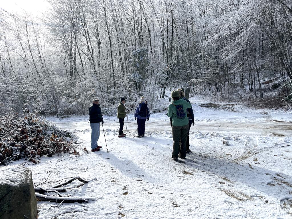 group in January at Andres Institute of Art in New Hampshire