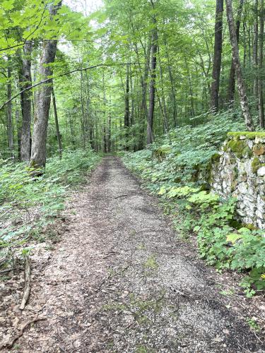 trail in August at Ashintully Gardens in western MA