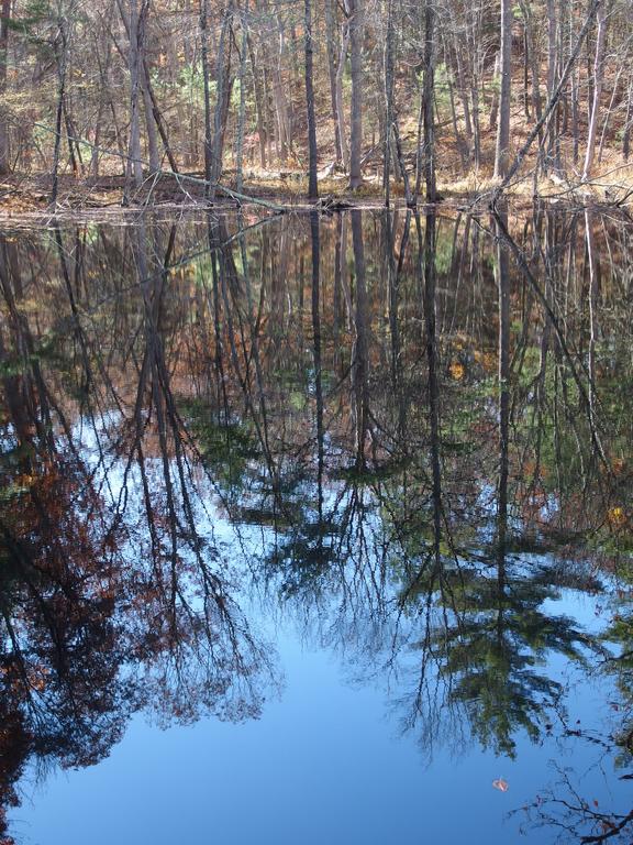 optical illusion photo that looks neat upside down at Ashland State Park, MA