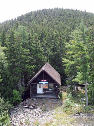 wooded summit at Little Attitash Mountain in New Hampshire