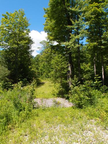 old woods road on the way to Avery Ledge in New Hampshire