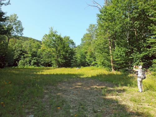 field near Ayers Pond Peaks in New Hampshire