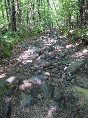 snowmobile trail to Ayers Northwest in New Hampshire