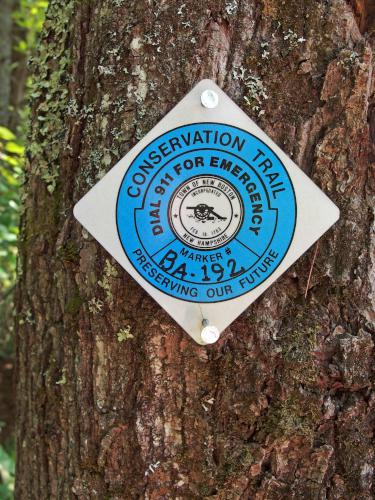 trail marker at Bailey Pond in southern New Hampshire