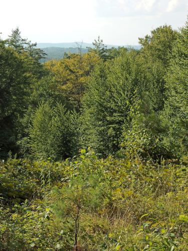 old ski area at Bailey Pond in southern New Hampshire