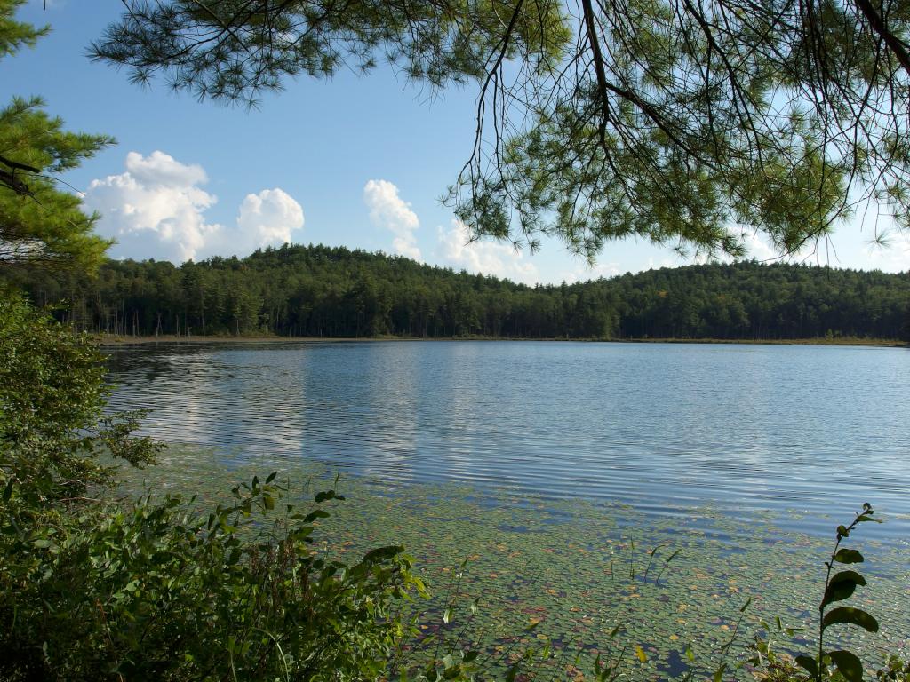 view of Bailey Pond in August from its circumferential trail near New Boston in southern New Hampshire